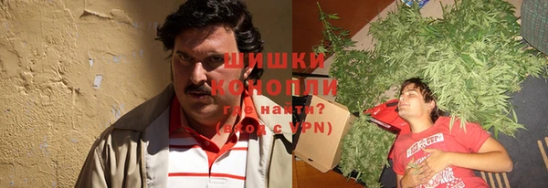 мяу мяу мука Няндома