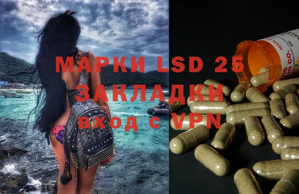 мяу мяу мука Няндома
