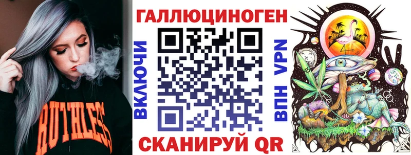 Купить где  Севск  Псилоцибиновые грибы Psilocybe 